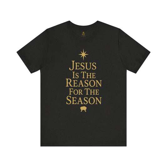 Jesus Is the Reason for the Season | Jersey Tee